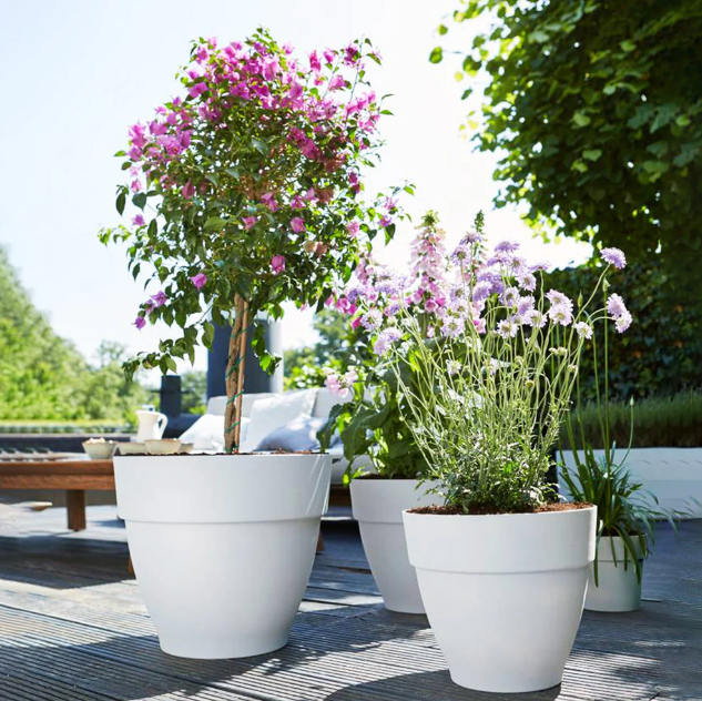 5 tricks til at style planter i dit hjem med de rigtige potter