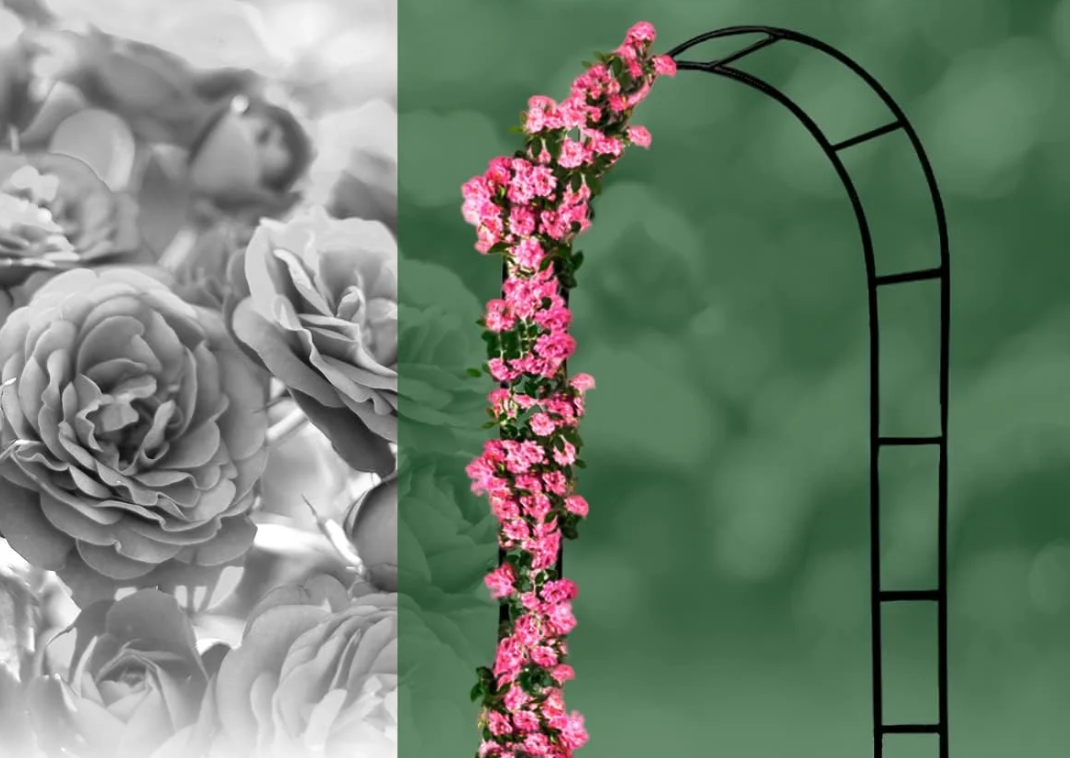 5 måder rosenbuer og spalier forvandler en kedelig havevæg til noget smukt