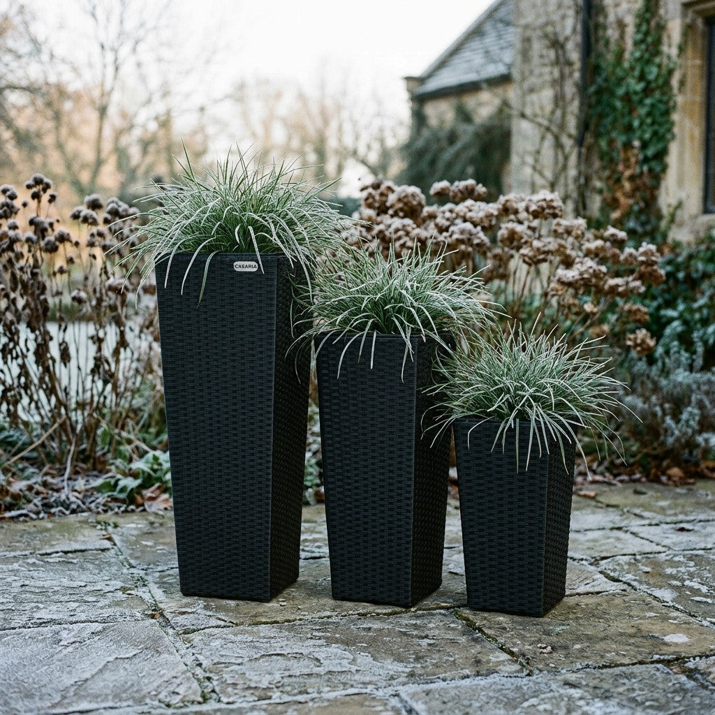 Tre hoeje sorte polyrattan-krukker med planter paa en frostklar terrasse