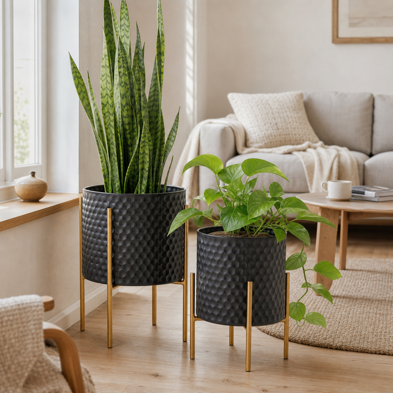 Sorte plantekrukker på slanke stel i en rolig stue