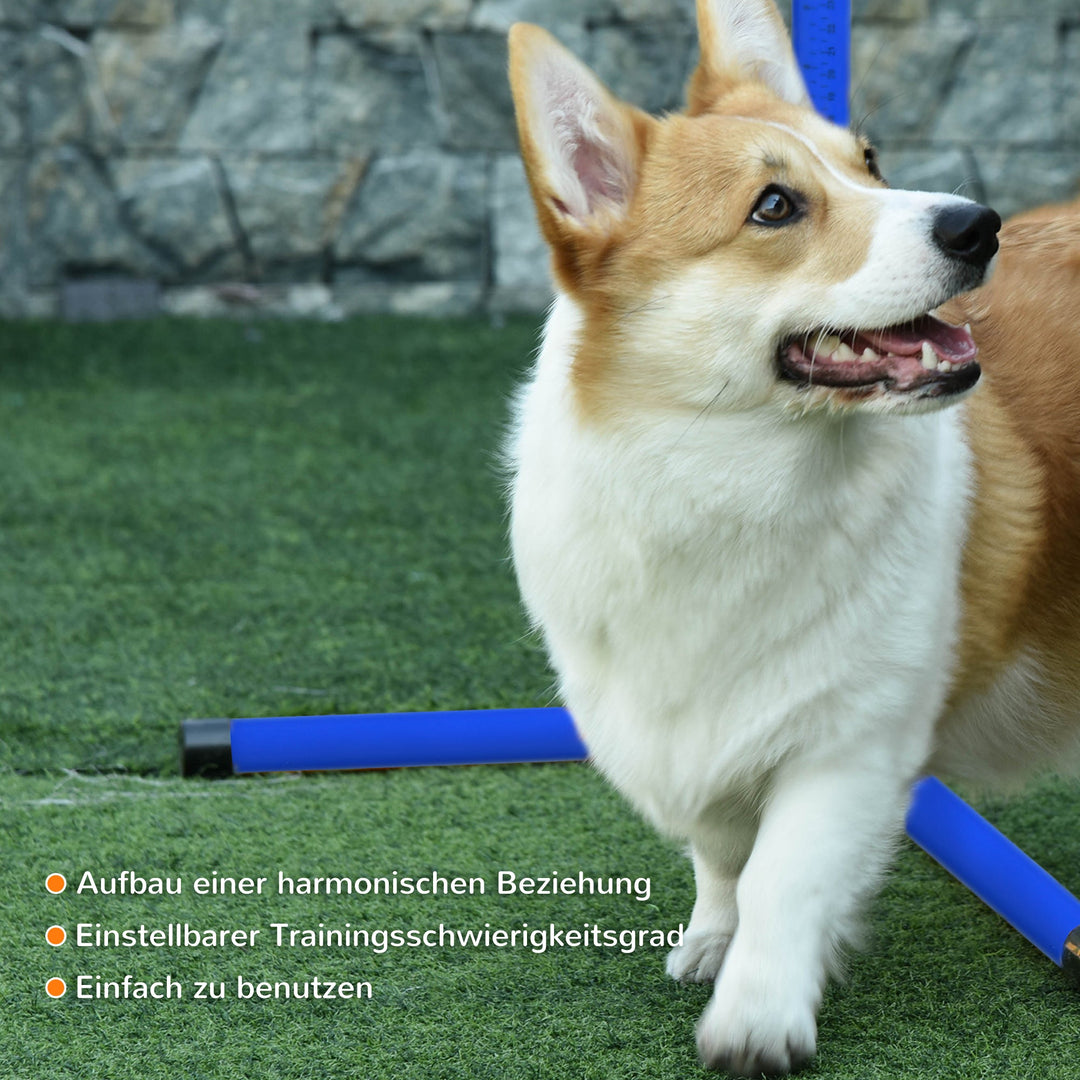 Agility til hunde