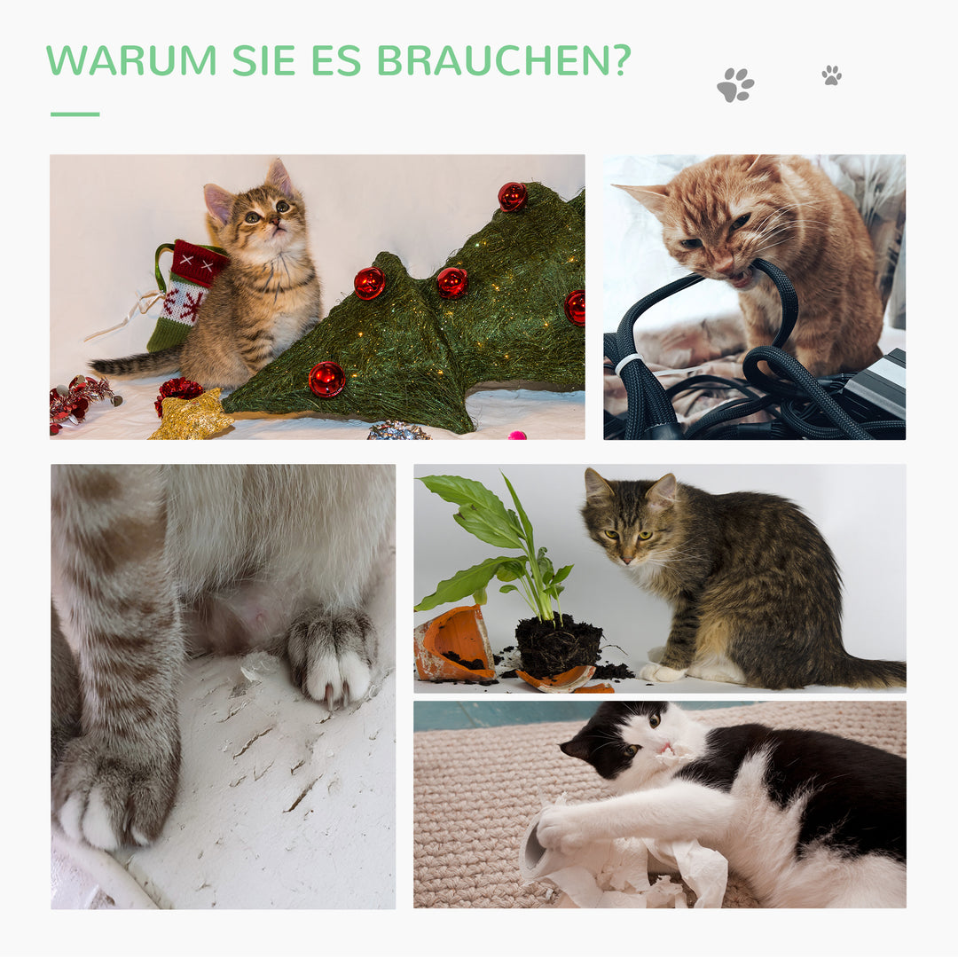 4-3.jpg