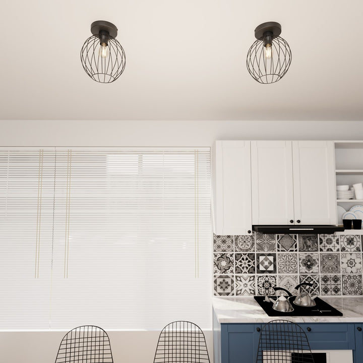 NEST 1 BL