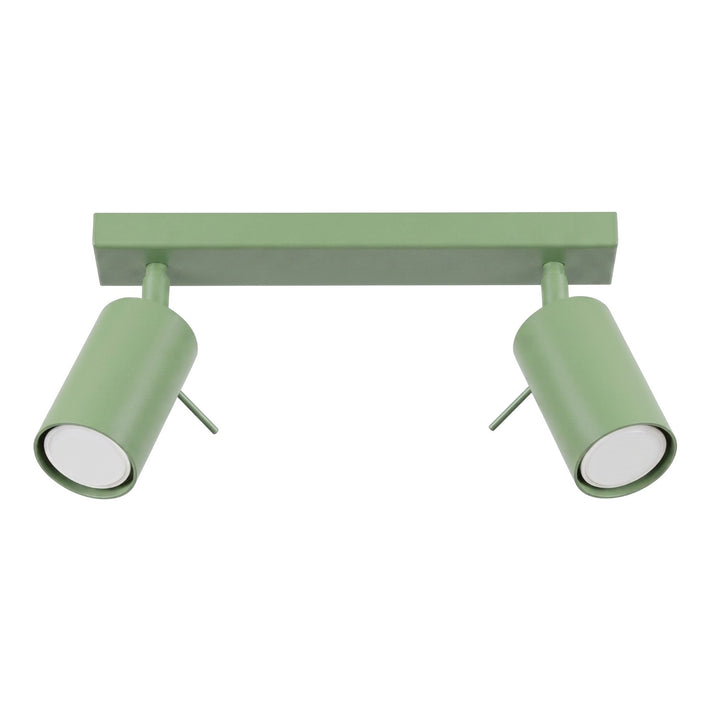 Loftlampe RING 2 salvie