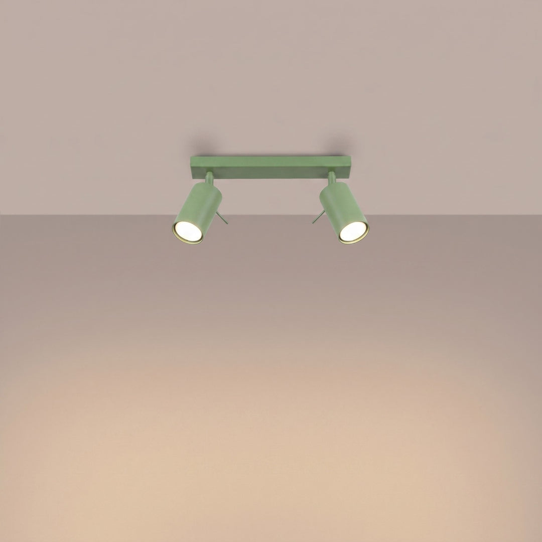 Loftlampe RING 2 salvie