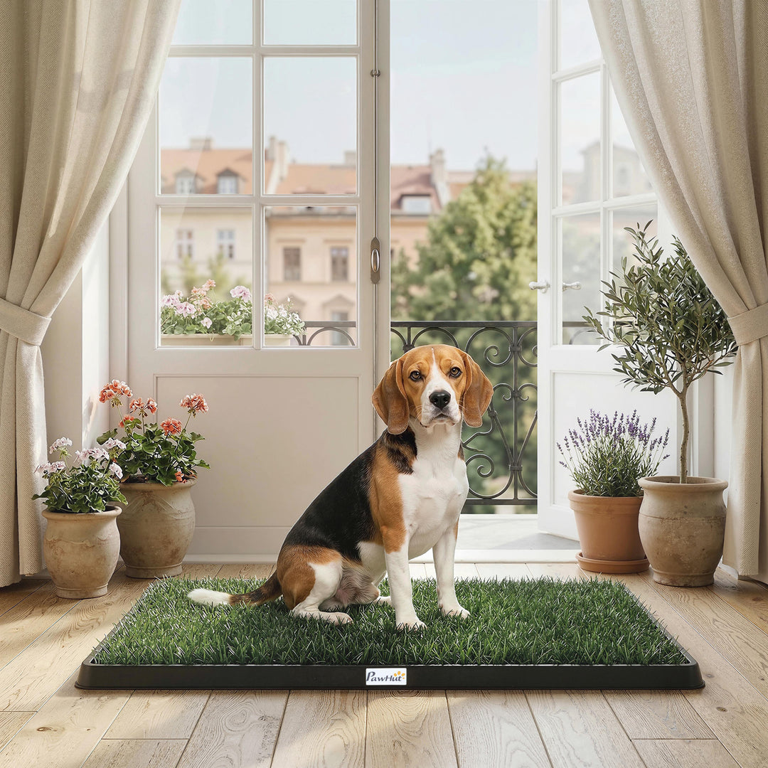 Hundetoilet 76 x 50,5 cm, hundetoilet med 2 vaskbare kunstgræsmåtter, hvalpetoilet til hunde til altan og hjem, sort+grøn