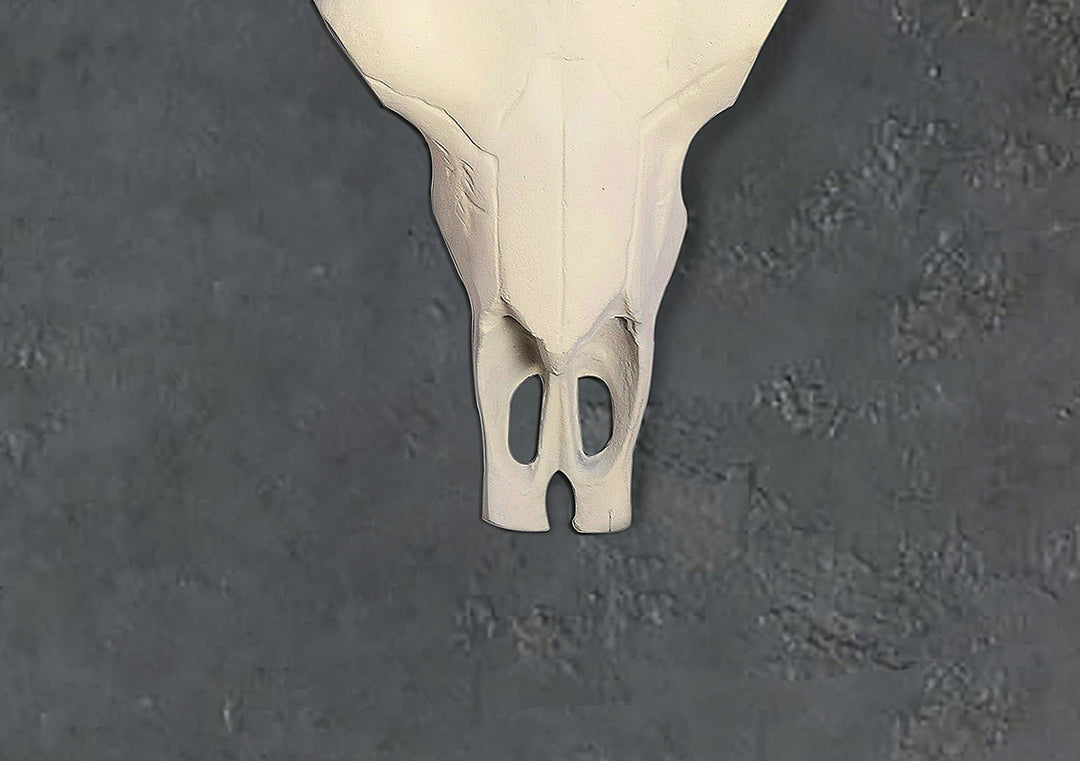 Dekorativt bøffelkraniegevir, hvidt, 55,5 cm, aluminiumsdesign, tyrehoved, moderne hornvægdekoration, vægskulptur med horn, metaljagttrofægevir, stor vægdekoration