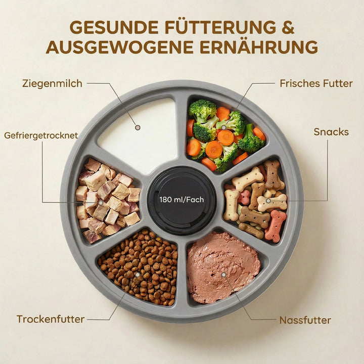Automatisk foderautomat til kæledyr, trådløs foderautomat med timer til op til 6 måltider, LED-display, køleelement, grå