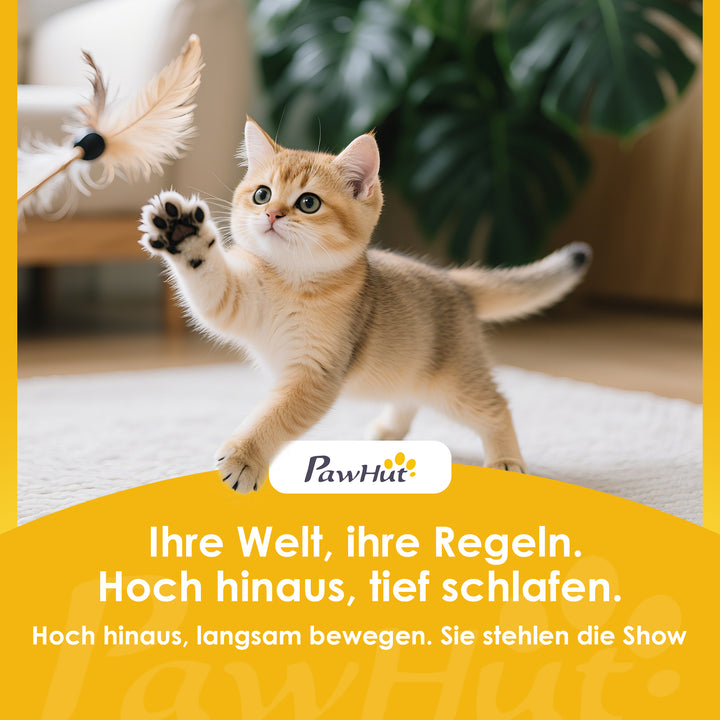 Kradsetræ med hule, 4 legetøj, sisalstolper, stor platform, trappe, til katte under 5 kg, beige