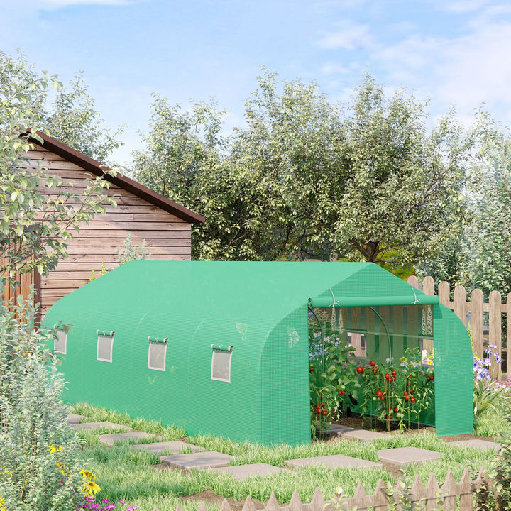 Foliedrivhus, polytunnel, drivhus, kold ramme, plantehus, tomathus, gavltag, 595 × 300W × 200H cm