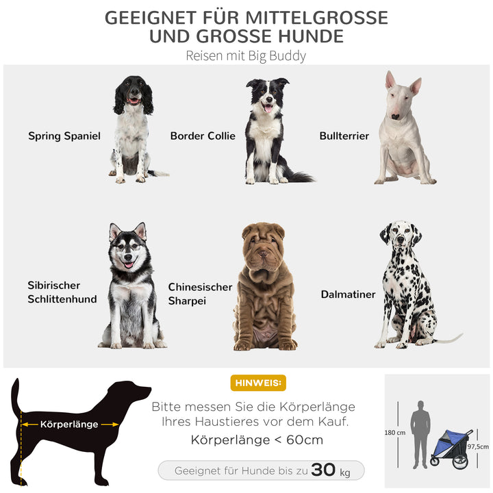 Hundevogn, foldbar, sammenklappelig, med liggepude, stålramme, blå/sort