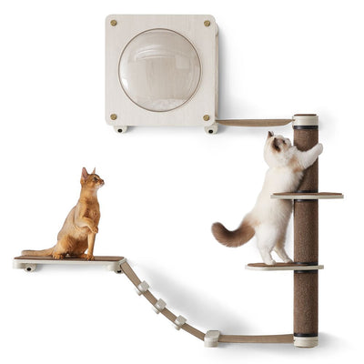 Clickat Clickat Oasis - kattemøbel klatrevægsæt med 5 stk