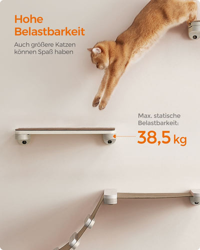 Clickat Clickat Oasis - kattemøbel klatrevægsæt med 5 stk