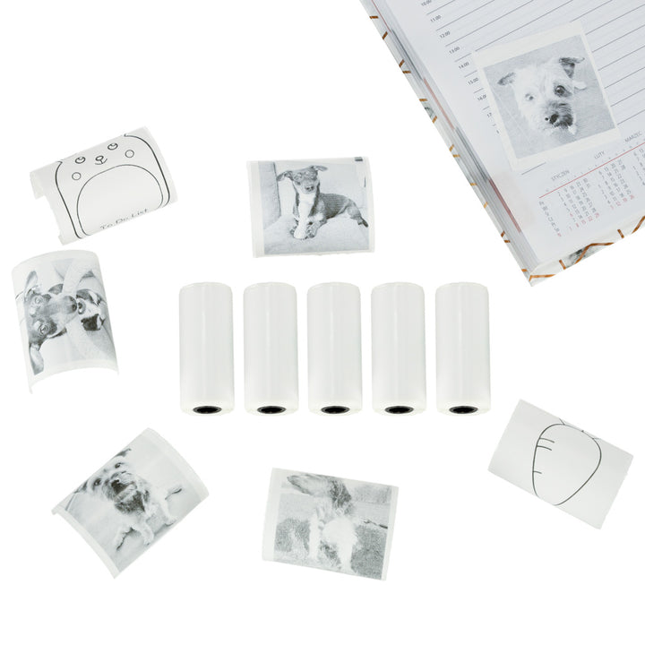 Ruller med termisk selvklæbende papirindsats til miniprinter 5,7 cm x 4,5 m 5 stk.