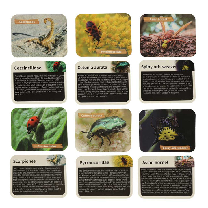Arkæologisk udgravning sætter insekter i rav