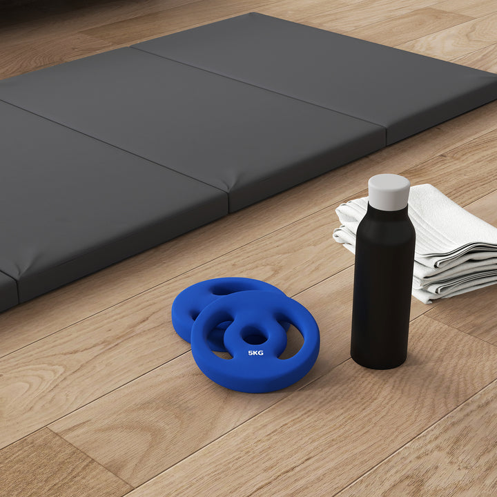 2 X 5 kg vægtskiver med praktiske håndtag, vægtsæt til hjemmegym, fitnessstudie, styrketræning, blå