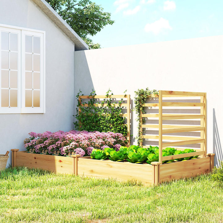 Højbed med espalier, træblomsterkasse med 3 espalierer, rumdeler, åben bund, 240 x 125 x 102 cm, naturtræ