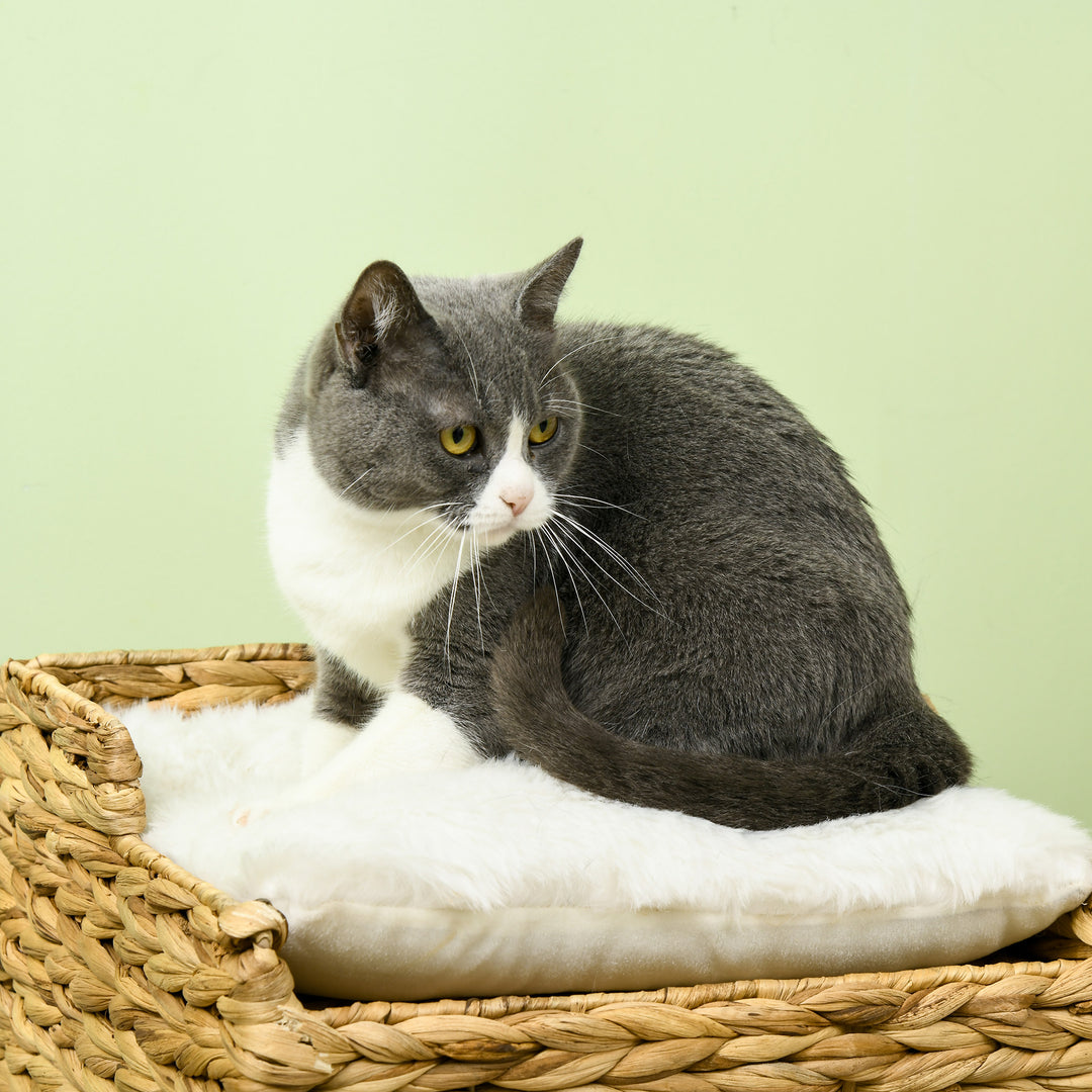 Vandhyacintgræs kattehule, 2 sovepladser, 2 vaskbare puder, naturlig + hvid