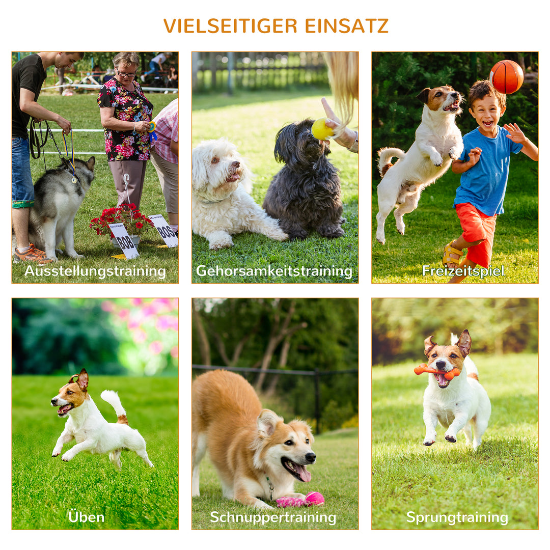 Hunde agility sæt med 4 forhindringer rød+gul
