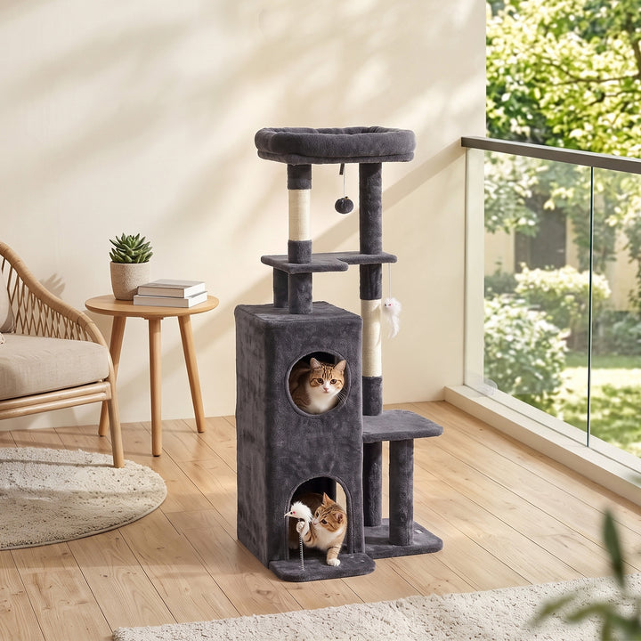 5-2.jpg
