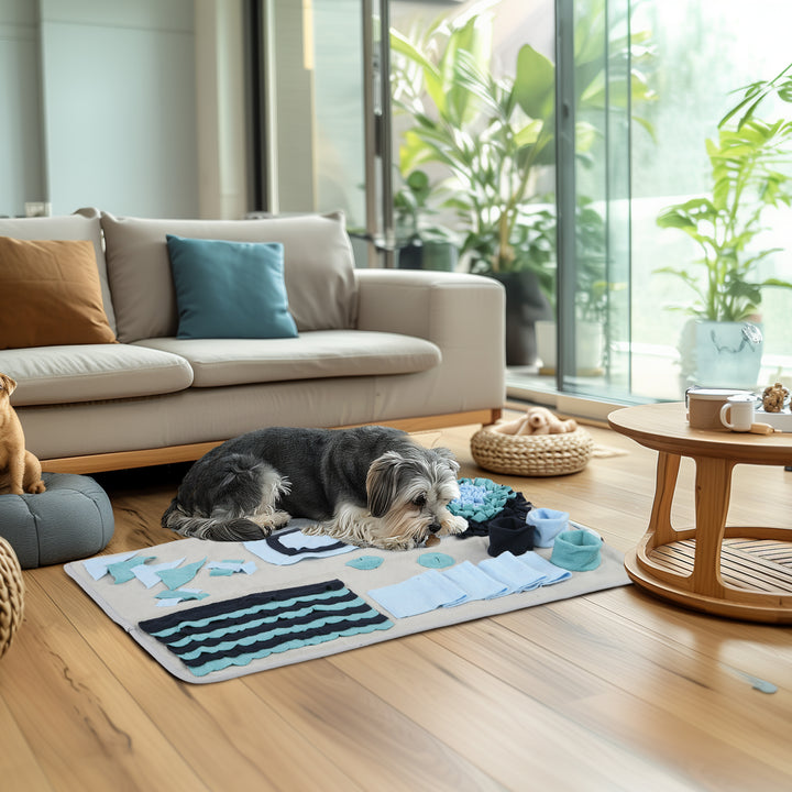 Hundetæppe, komfortabelt, dekorative elementer, 74x50x5cm, flerfarvet