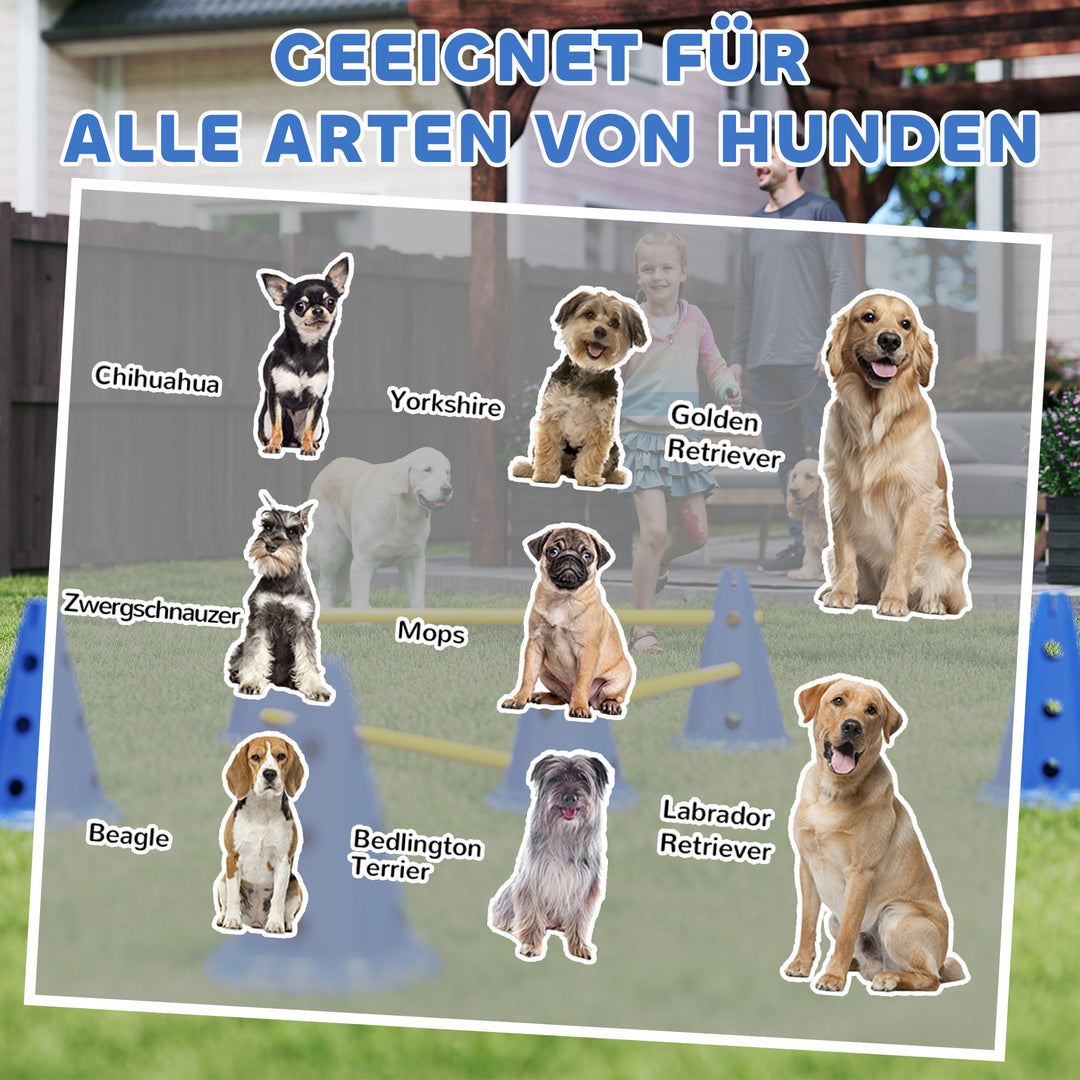 Agilitysæt til hunde: 3-delt agilityudstyr til hundetræning, inklusive et sæt med 6 kegler, 3 forhindringer og en bæretaske.