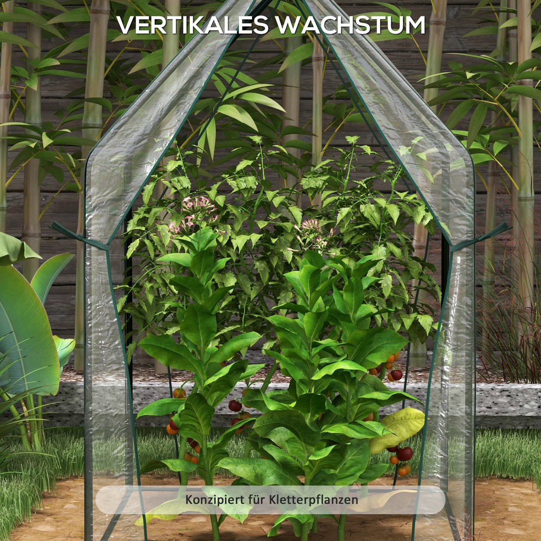 Drivhus/kold ramme/drivhus, 90 cm x 90 cm x 145 cm, transparent + sort