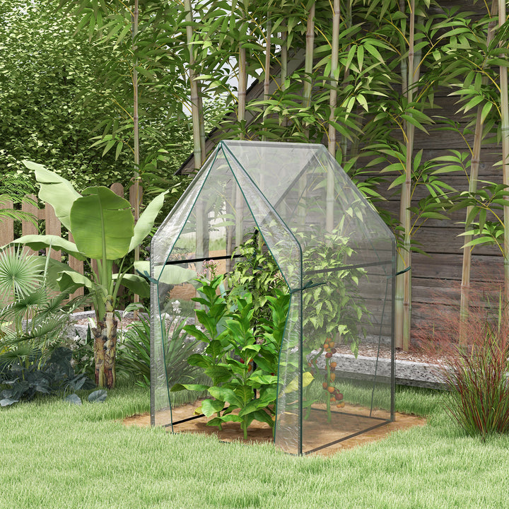 Drivhus/kold ramme/drivhus, 90 cm x 90 cm x 145 cm, transparent + sort