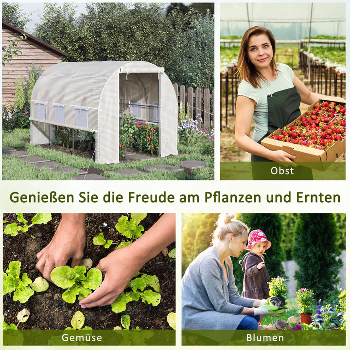 Foliedrivhus, 6 rullevinduer, lynlåsdør, ramme i rustfrit stål, 2,95 x 2 x 2 m, hvid