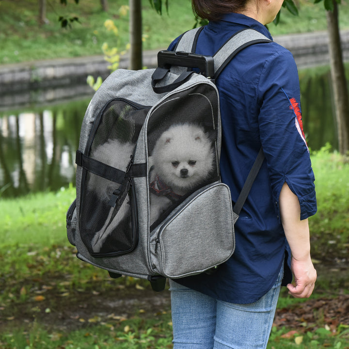 Hundetransporter, rygsæk til kæledyr, 2-i-1 design, udtrækkeligt håndtag, sidelommer, grå, 42 x 25 x 55 cm