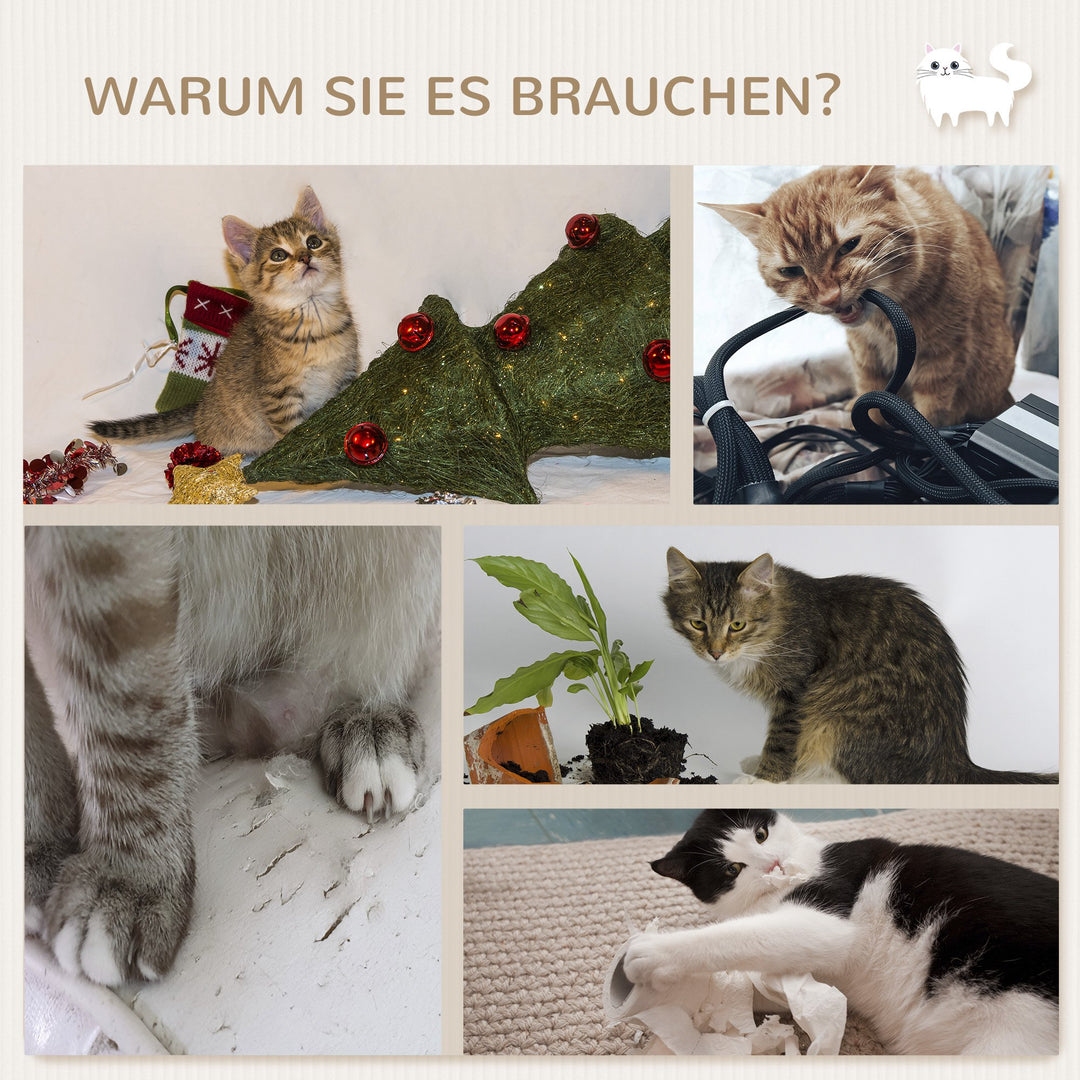 4-3.jpg