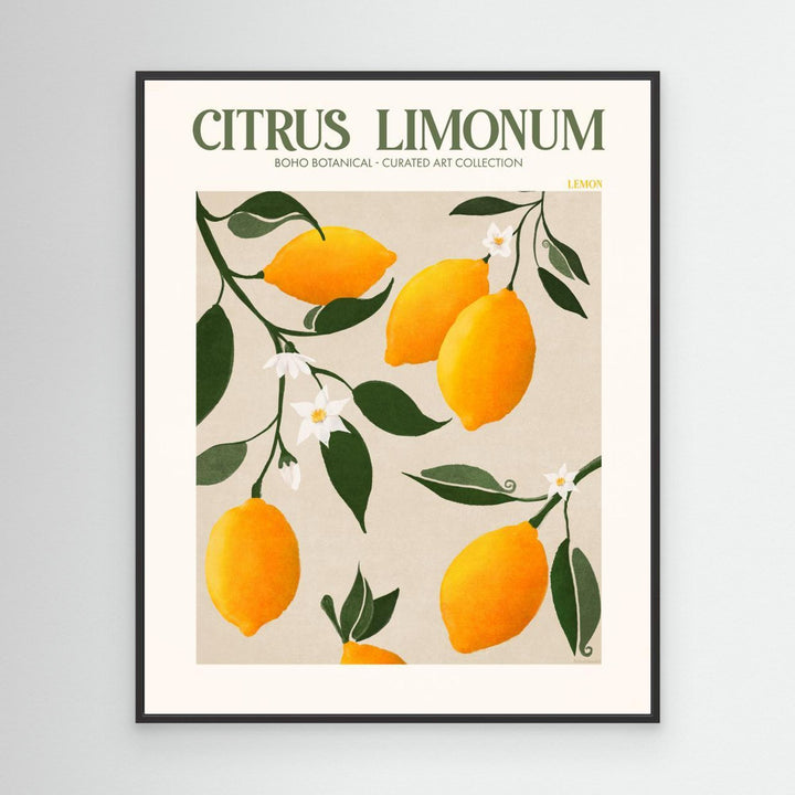 Citrus Limonum - Lemon by Emel Tunaboylu