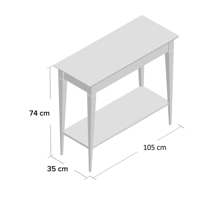 MAMO konsolbord med hylde 105x35cm Grafit sorte ben