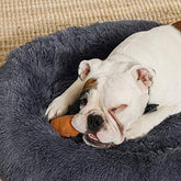Donut Hundeseng: Blød, beroligende og perfekt til både hunde og katte!