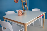 ZEEN Spisebord med hylde 140x90x75cm Antik pink