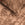 Sengetøj i fløjlsstof, brun, 200 x 220