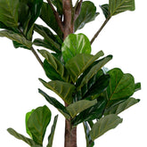 Fiddle Violinfigen - Kunstig plante, grøn, 190 cm