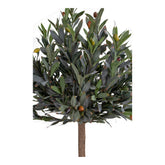 Oliventræ - Kunstigt plante, grøn, 120 cm
