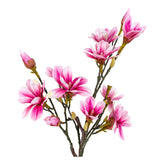 Magnoliatræ - Kunstig plante, rosa, 75 cm