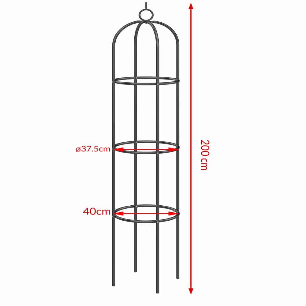 Rose klatring Trellis Black 200x40cm