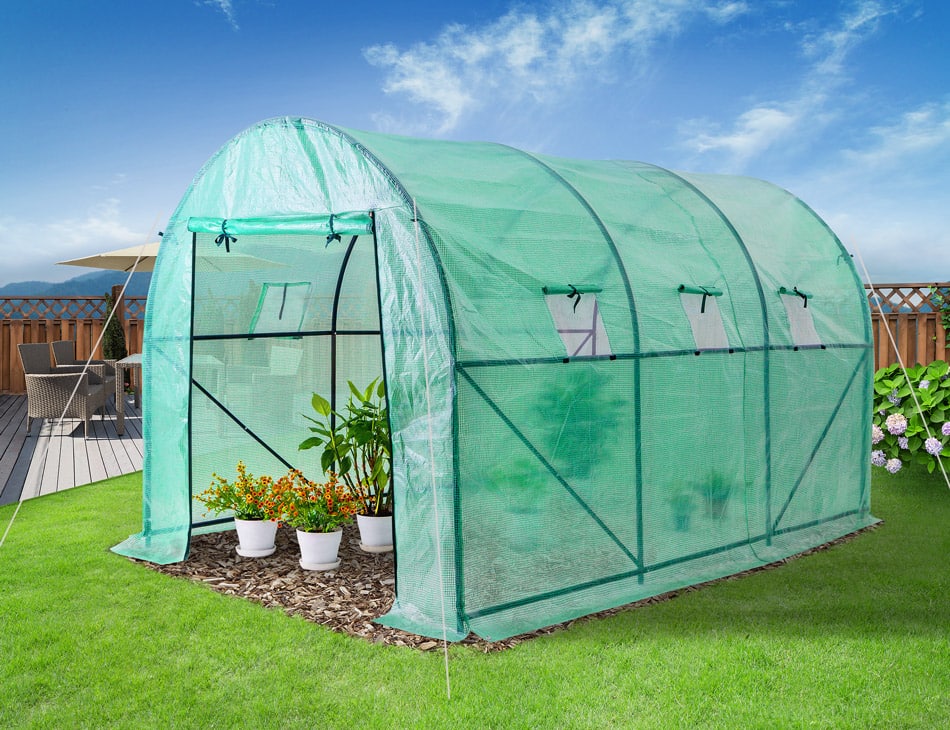 Polytunnel 11.5x6.5ft