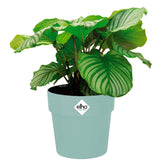 Plant Pot Mint 7.1x6.7 i 2,9L