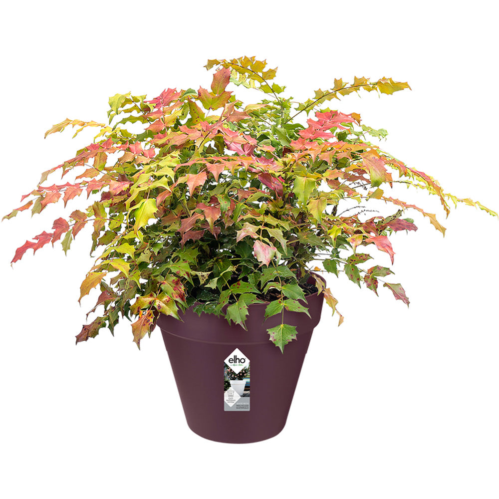 Blomsterpot Mulberry Matt 19x18cm 3L